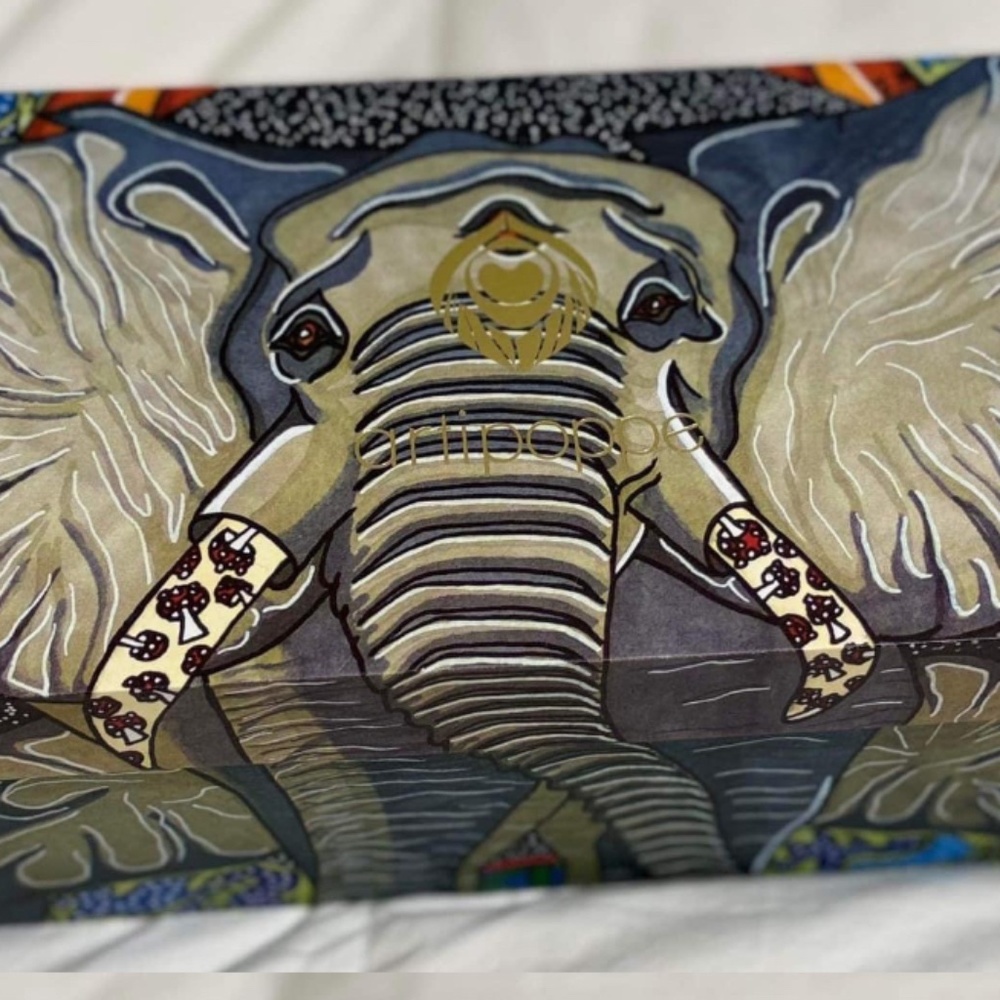 ISO artipoppe elephant box and horses box - Picture 1 of 2